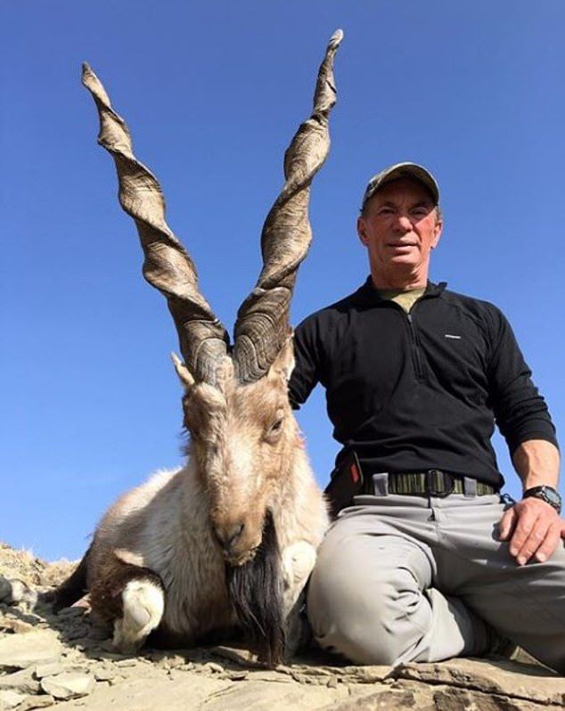 Vyškierajúci sa lovec zabil už štvrtú mimoriadne vzácnu kozu, ale na svojich trofejách za 100-tisíc dolárov sa výborne zabáva
