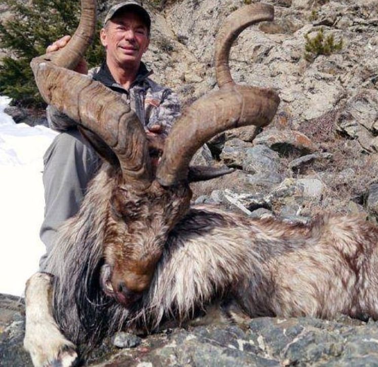 Vyškierajúci sa lovec zabil už štvrtú mimoriadne vzácnu kozu, ale na svojich trofejách za 100-tisíc dolárov sa výborne zabáva