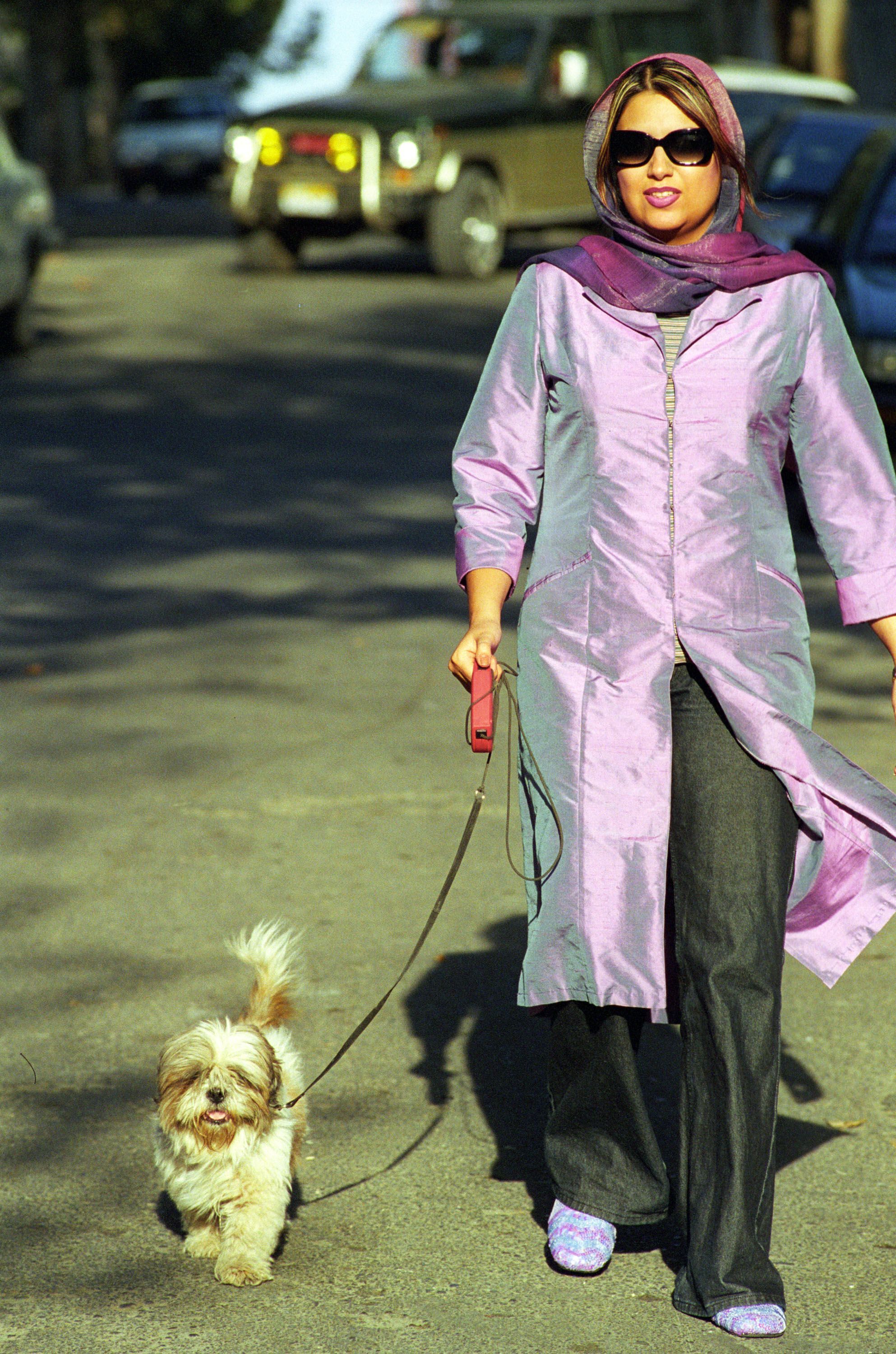 Teherán zakázal venčení psů na veřejnosti