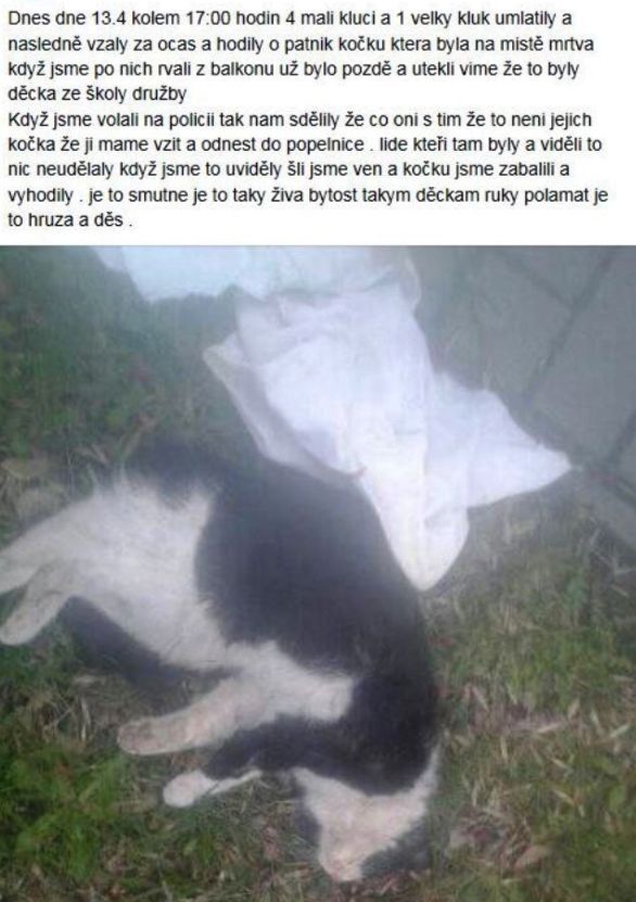 Páťák z Karviné umlátil kočku o patník