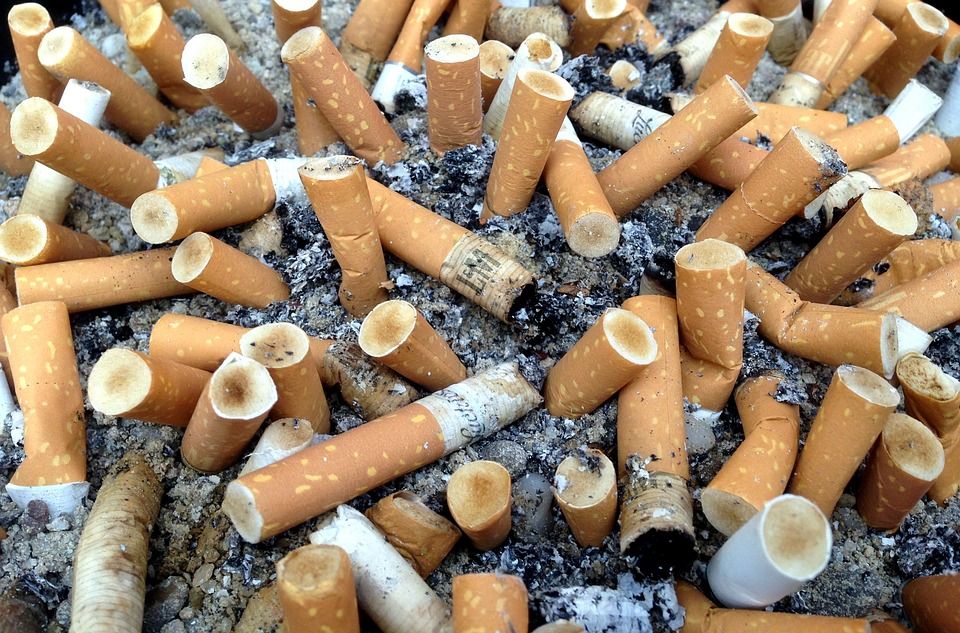 Vedci tvrdia, že vláda by mala úplne zakázať cigarety s filtrami. Fajčiarom nepomáhajú a ničia životné prostredie