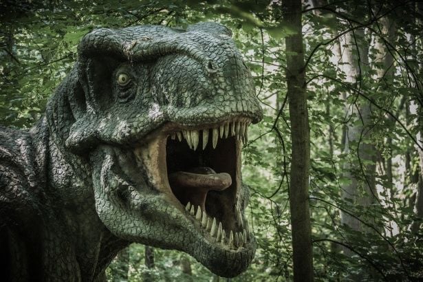 Vedci prišli na to, že Tyrannosaurus Rex mal v hlave niečo, ako osobnú klimatizáciu