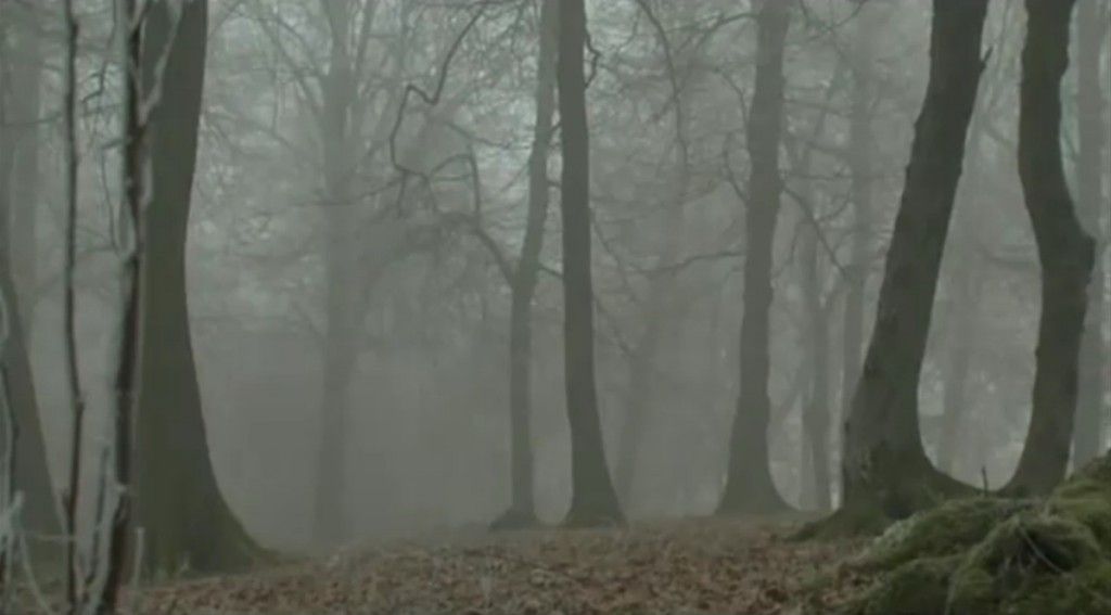 Hlasy, smejúci sa vietor a tvrdenia o duchoch či mimozemšťanoch. Rumunský les je vraj najprekliatejším miestom na svete