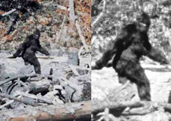Slávne video zachytávajúce Bigfoota dodnes vzbudzuje dohady. Ako vlastne vzniklo?