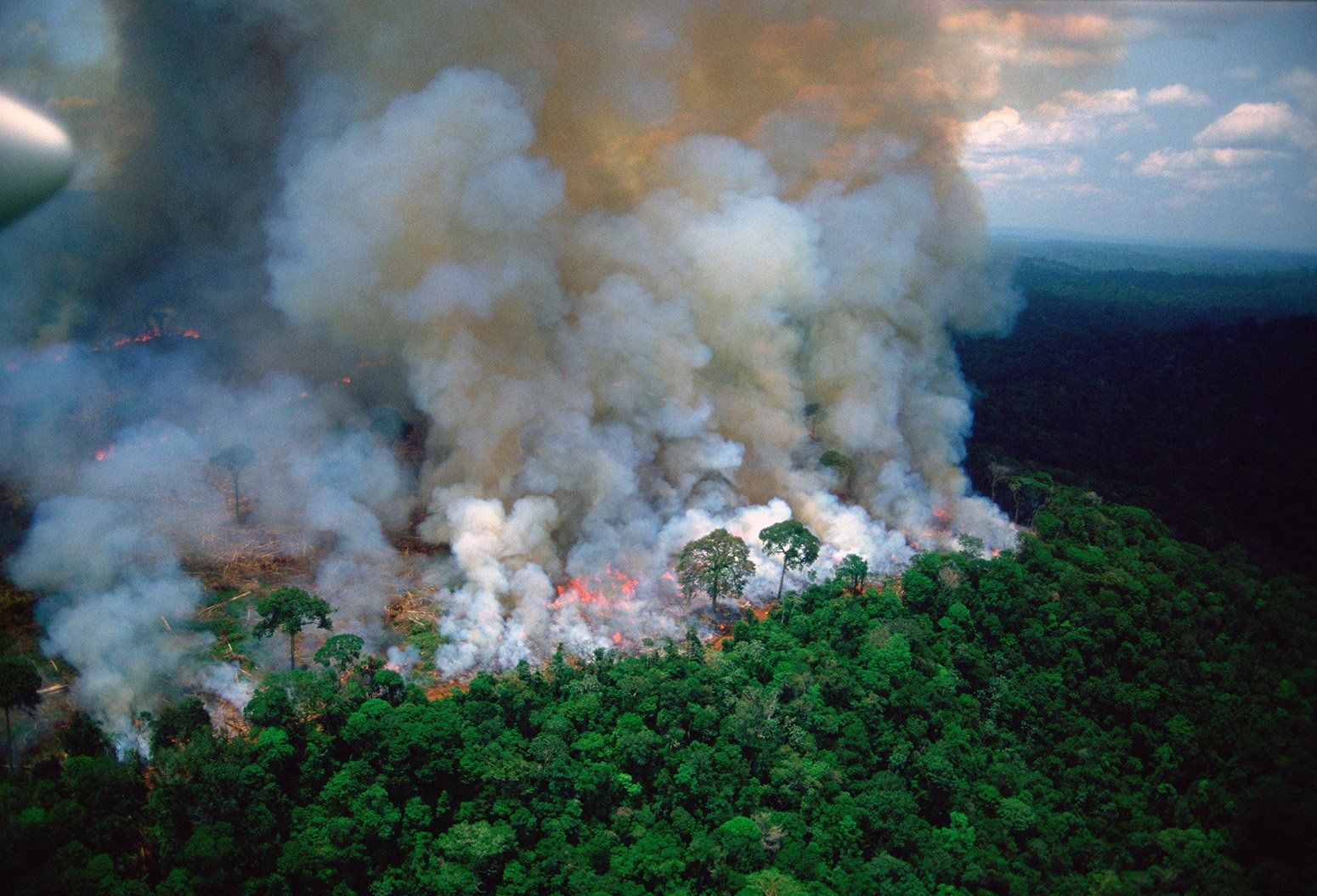 Klimatológ: Požiare v amazonskom pralese a na Sibíri urýchlia globálne otepľovanie (Rozhovor)