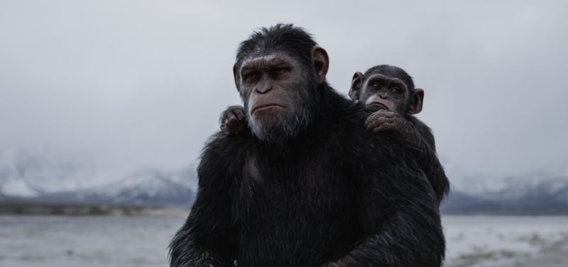 Disney natočí pokračovanie Planéty opíc. Nový režisér bude pokračovať v Caesarovom príbehu
