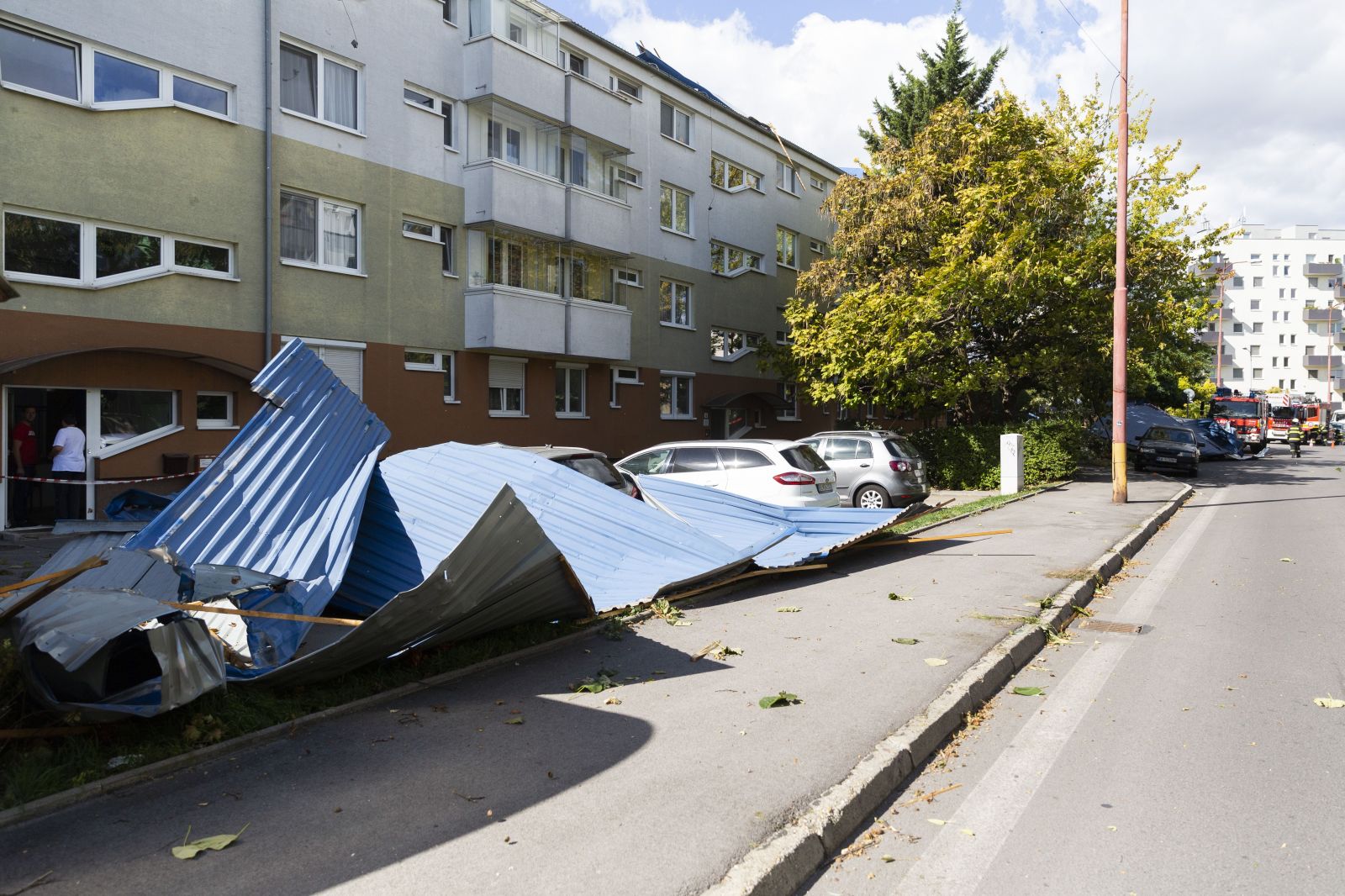 14-ročná Slovenka zomrela po tom, ako na ňu spadol strom. Vietor v Bratislave vytrháva zo zeme stromy