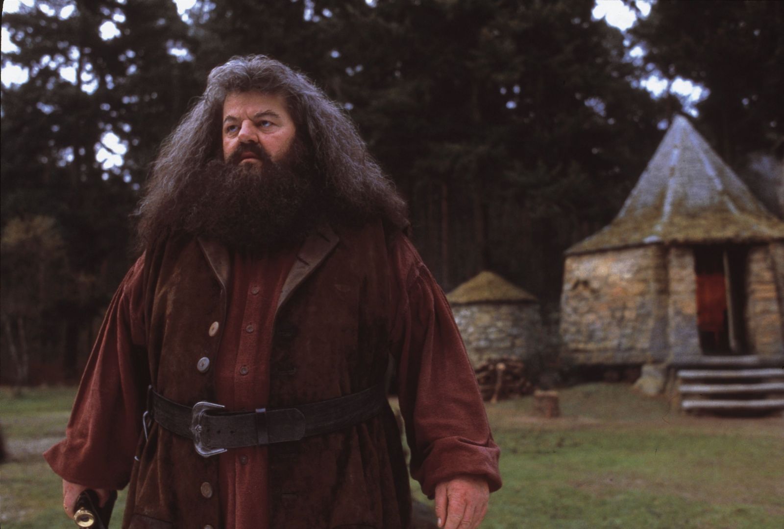 Týchto X zaujímavostí si o rokfortskom hájnikovi Hagridovi možno ani len netušil
