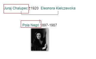 Rodokmeň