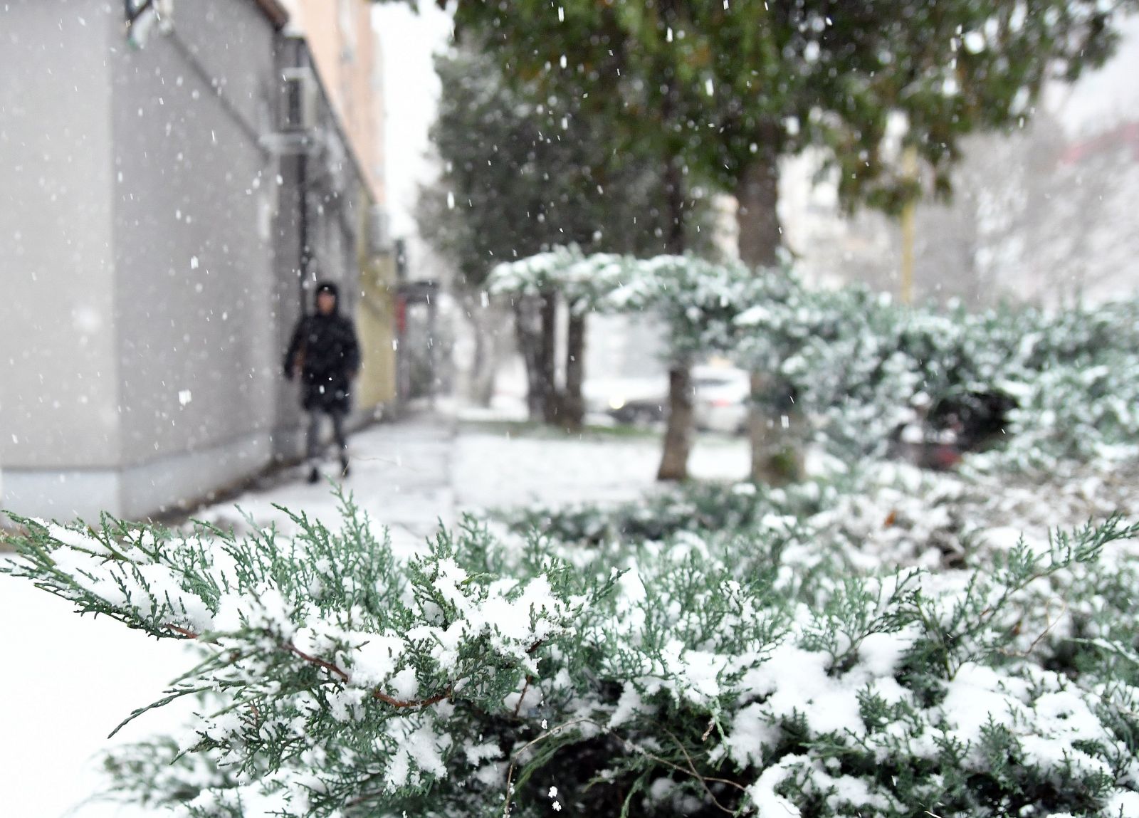 Slovensko zasiahla prvá vlna snehu, v Bratislave sa tvoria zápchy