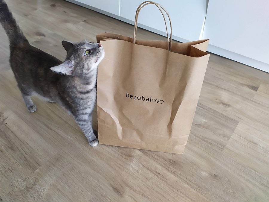 Papierová taška zaujala aj moju mačku