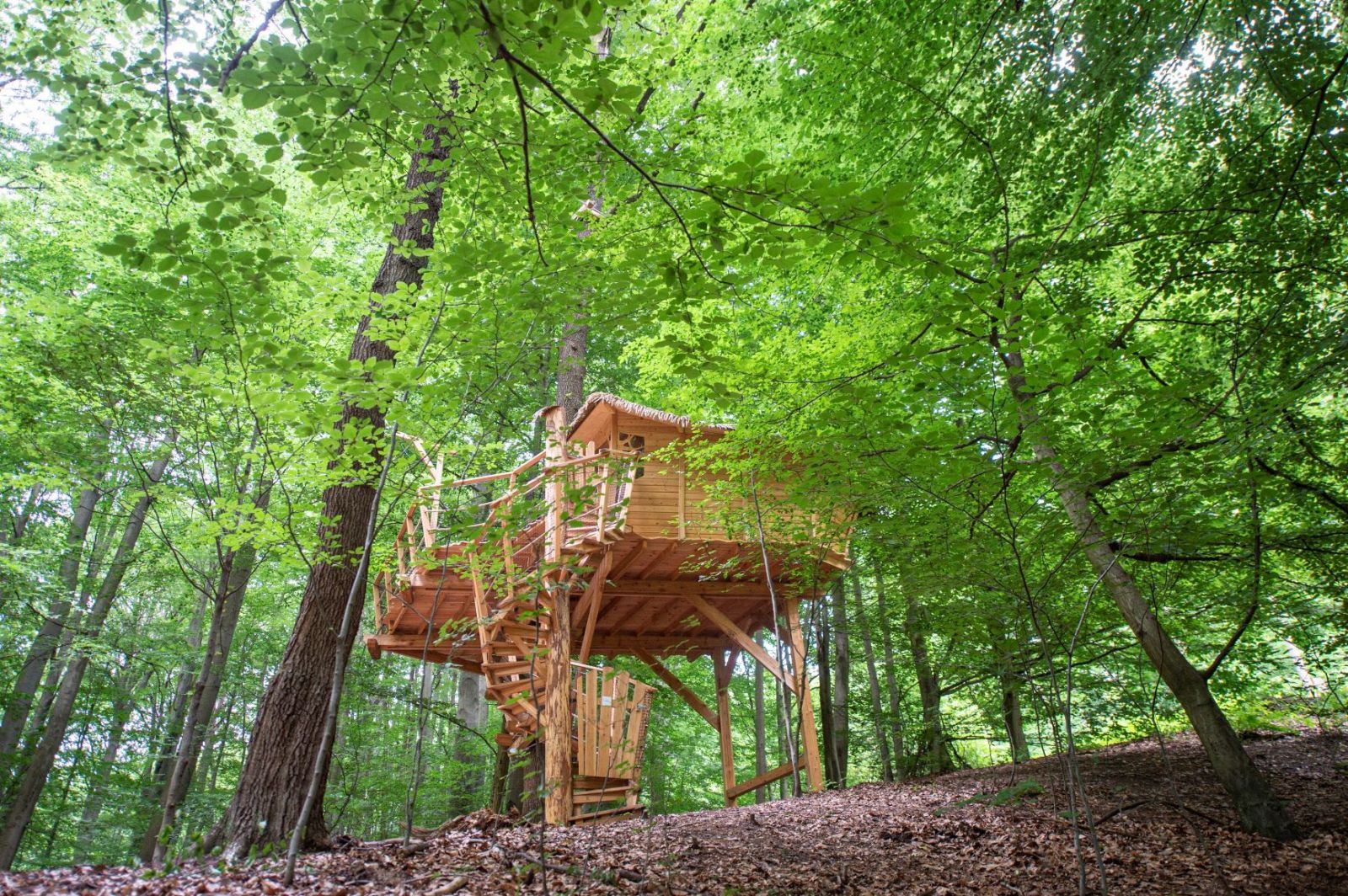 Čarovné domčeky na stromoch, v ktorých si môžeš užiť rozprávkový oddych aj ty