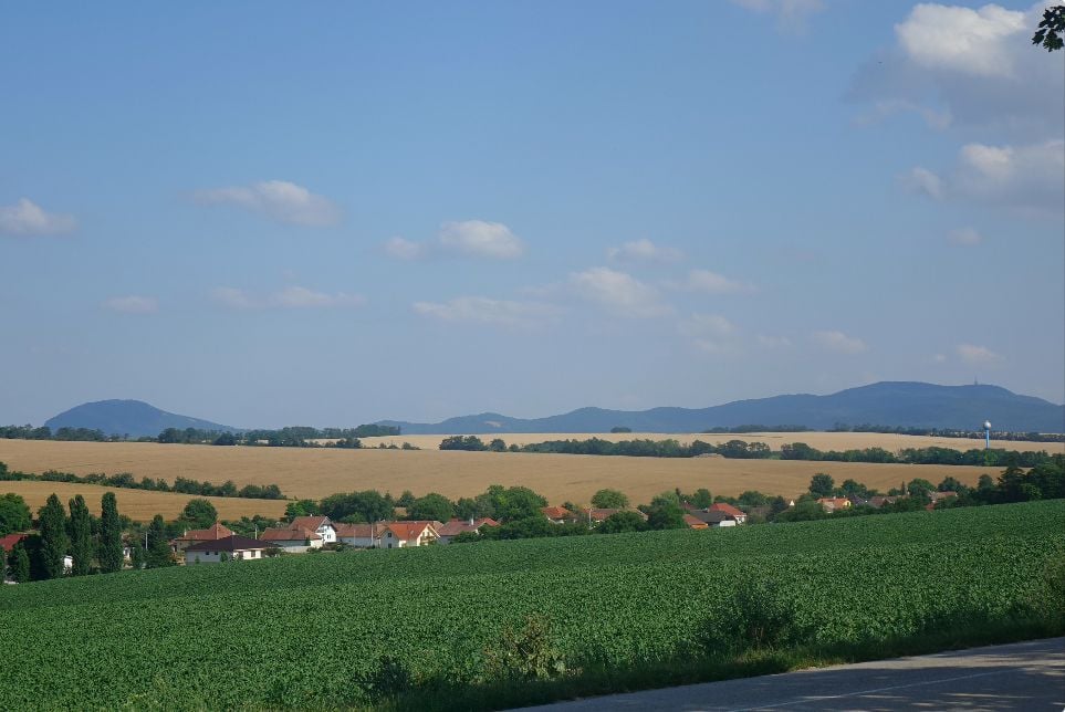 Obce v okolí Nitry sužuje strach z medveďov. Bude tento štvornohý obor bežnou súčasťou polí?