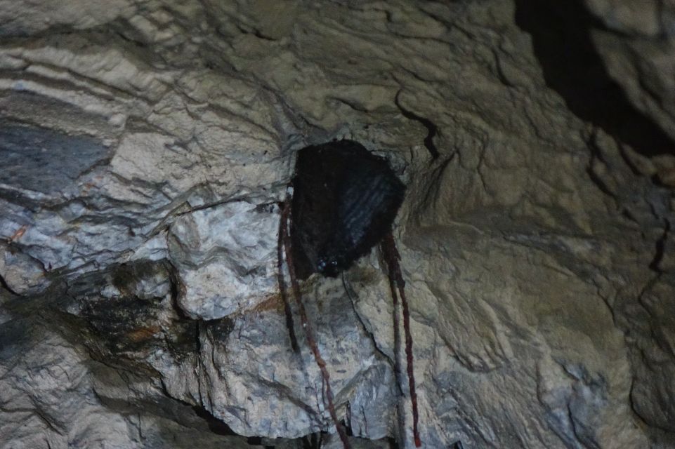 Navštívili sme slovenskú pyramídu: Je Kota Zulu 664 naozaj mystickým miestom s liečivými účinkami? (Reportáž)