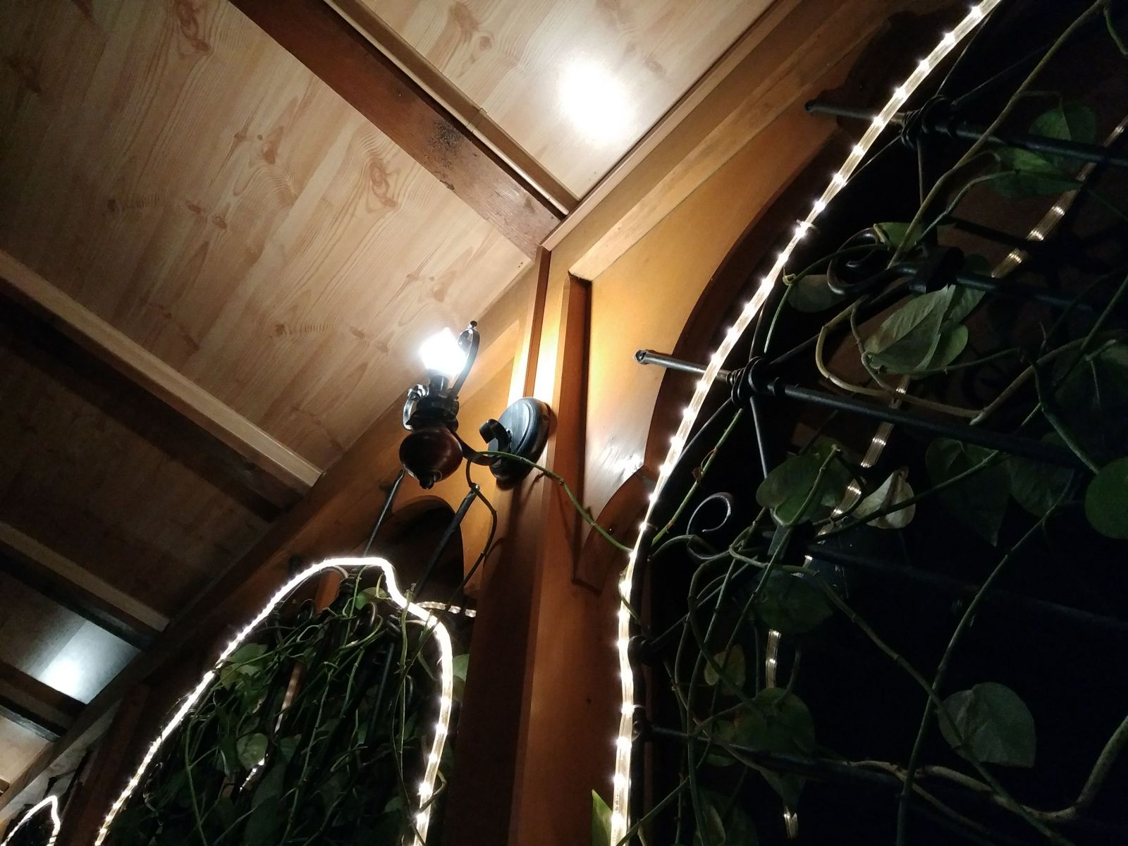 galeria