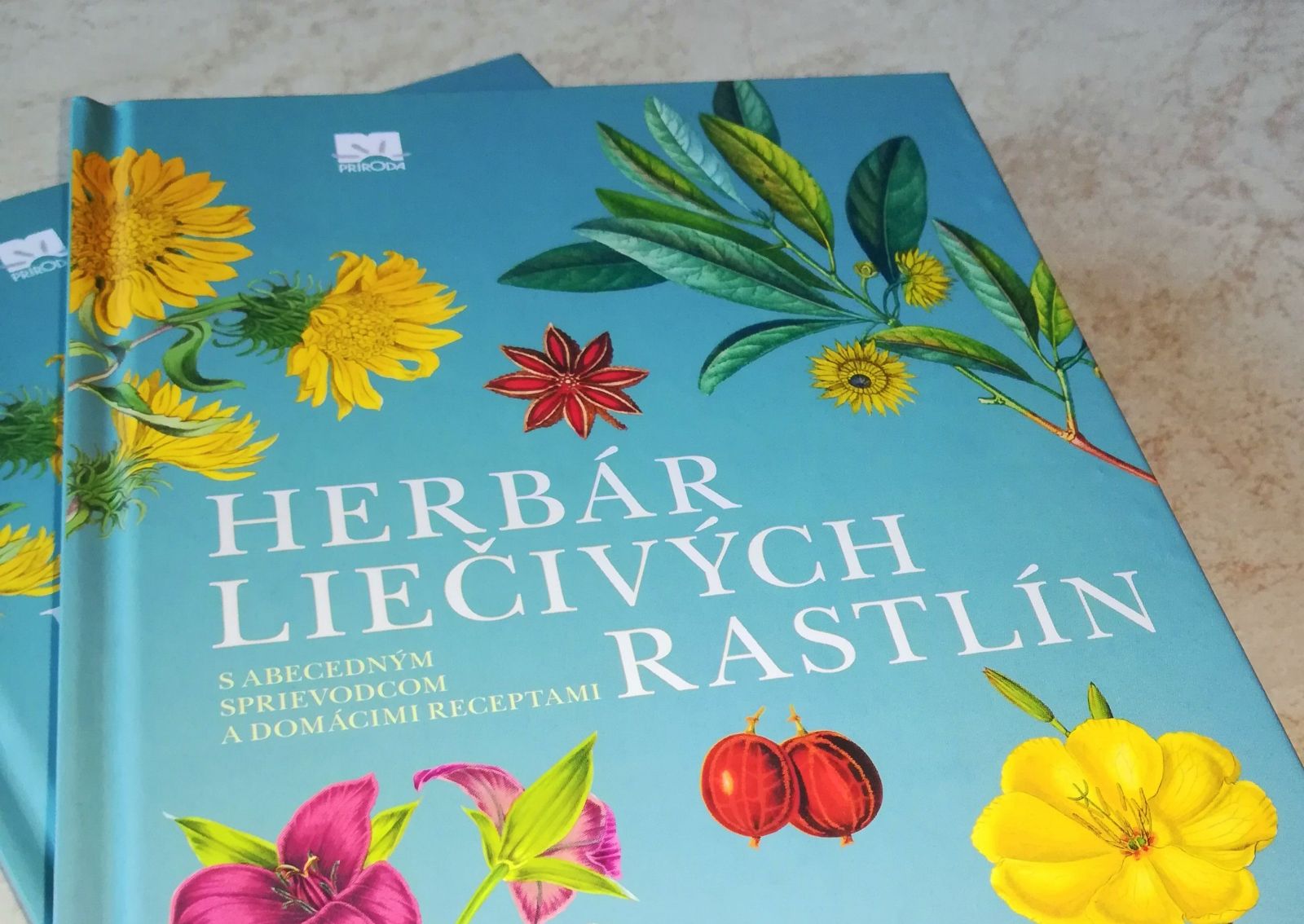 Liečitelia a bylinkárky z východu: Vesmírne energie, mimotelové zážitky a magické rastliny