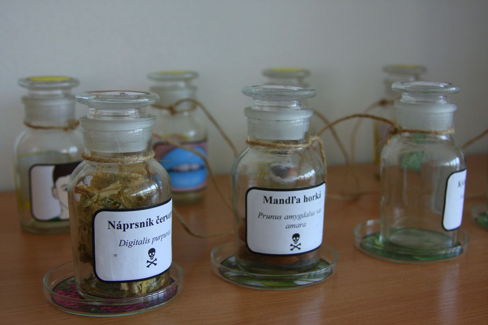 Liečitelia a bylinkárky z východu: Vesmírne energie, mimotelové zážitky a magické rastliny