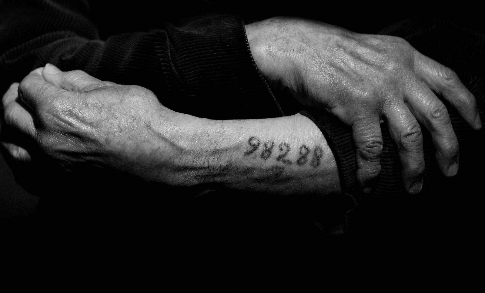 Ruky väzňa číslo 98288, ktorý prežil koncentračný tábor v Auschwitzi.