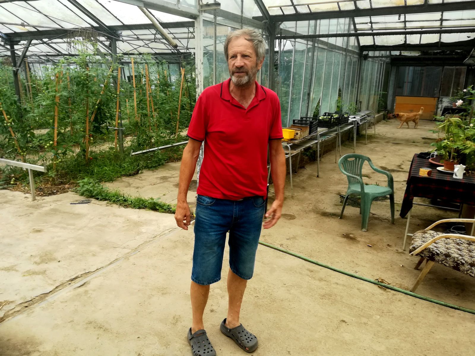 Vykopali sme si vlastné studne a zavlažujeme. Peter Gombita v bývalých mestských skleníkoch.