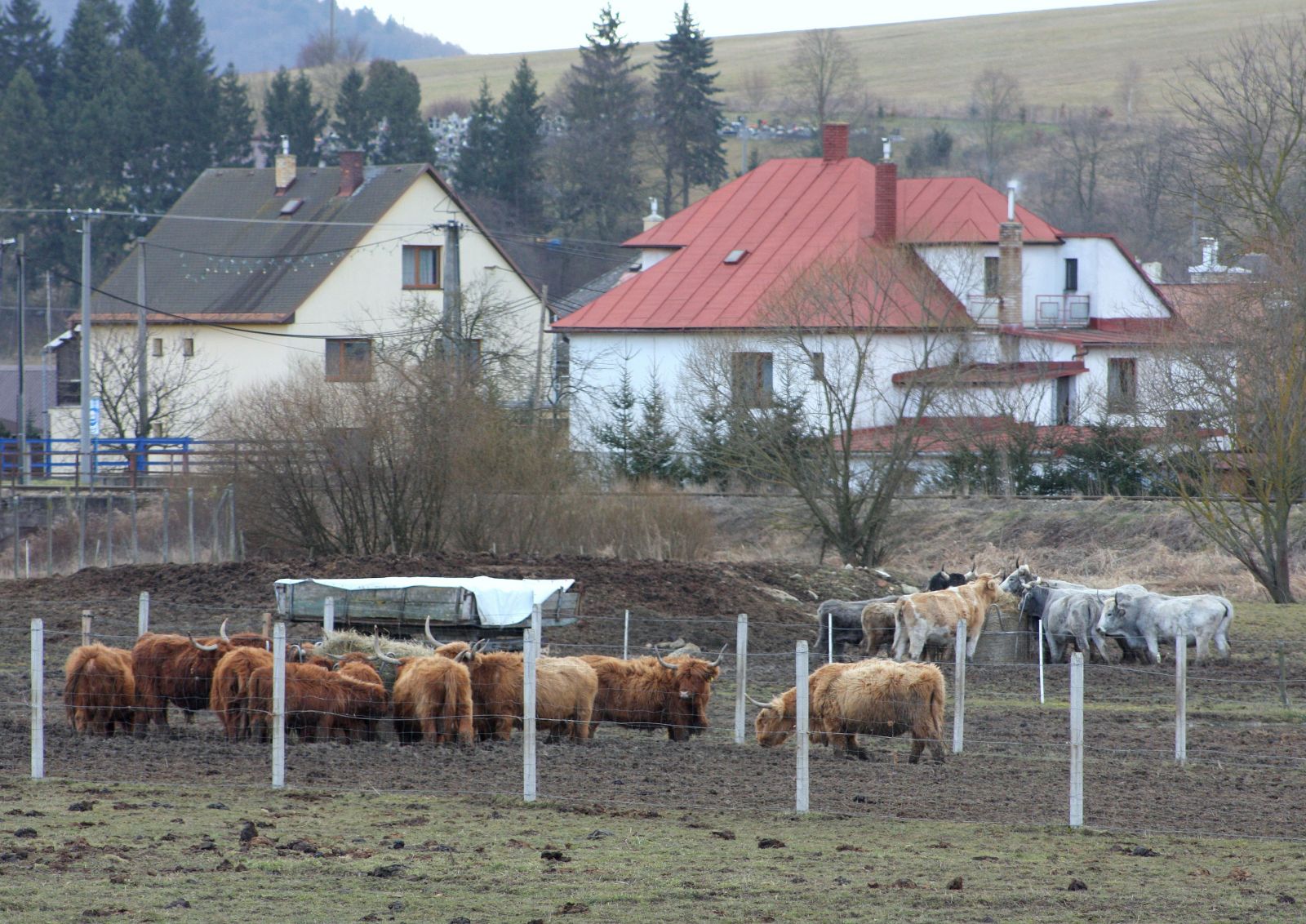 Po hovädzom a kokaínovom biznise Antonina Vadalu zostali na Zemplíne eseročky, dlhy a ruiny