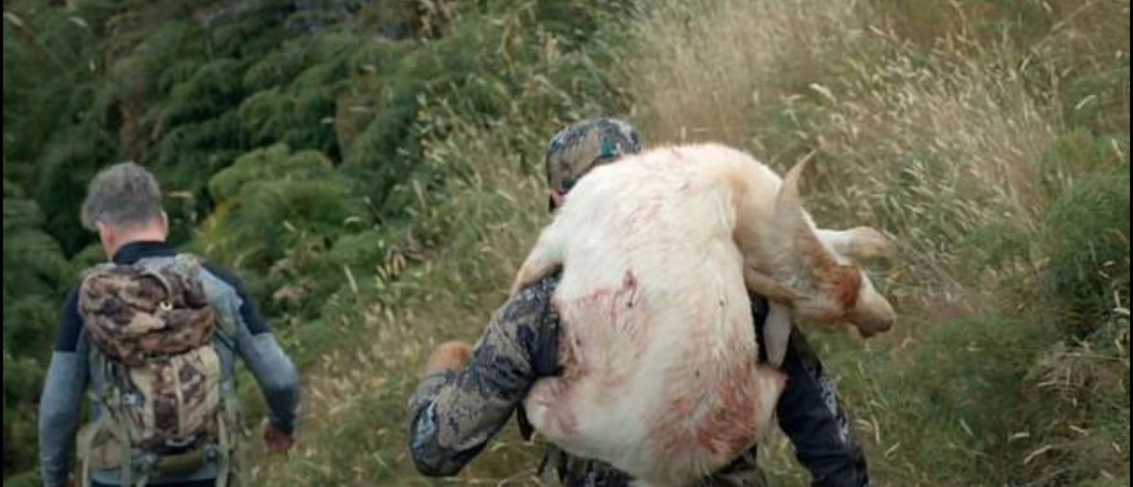 Gordon Ramsay si pohneval ochranárov, keď vo svojej novej TV šou upiekol kozu, ktorú sám zastrelil v divočine