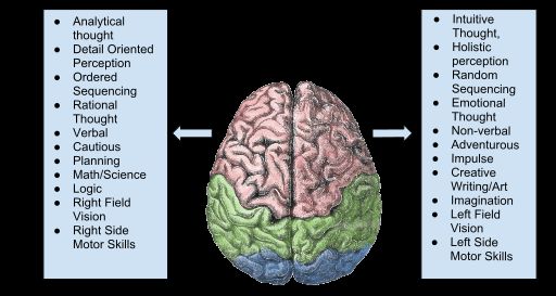 Lateralizácia ľudského mozgu