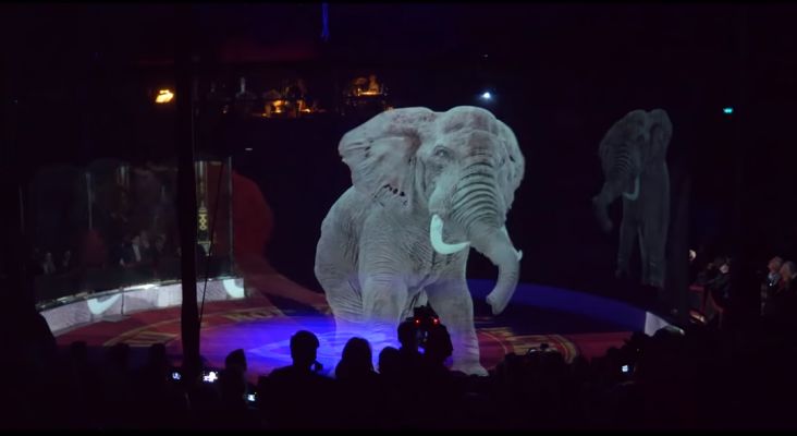 Nemecký cirkus používa miesto zvierat hologramy. Jeho majiteľka neznáša týranie