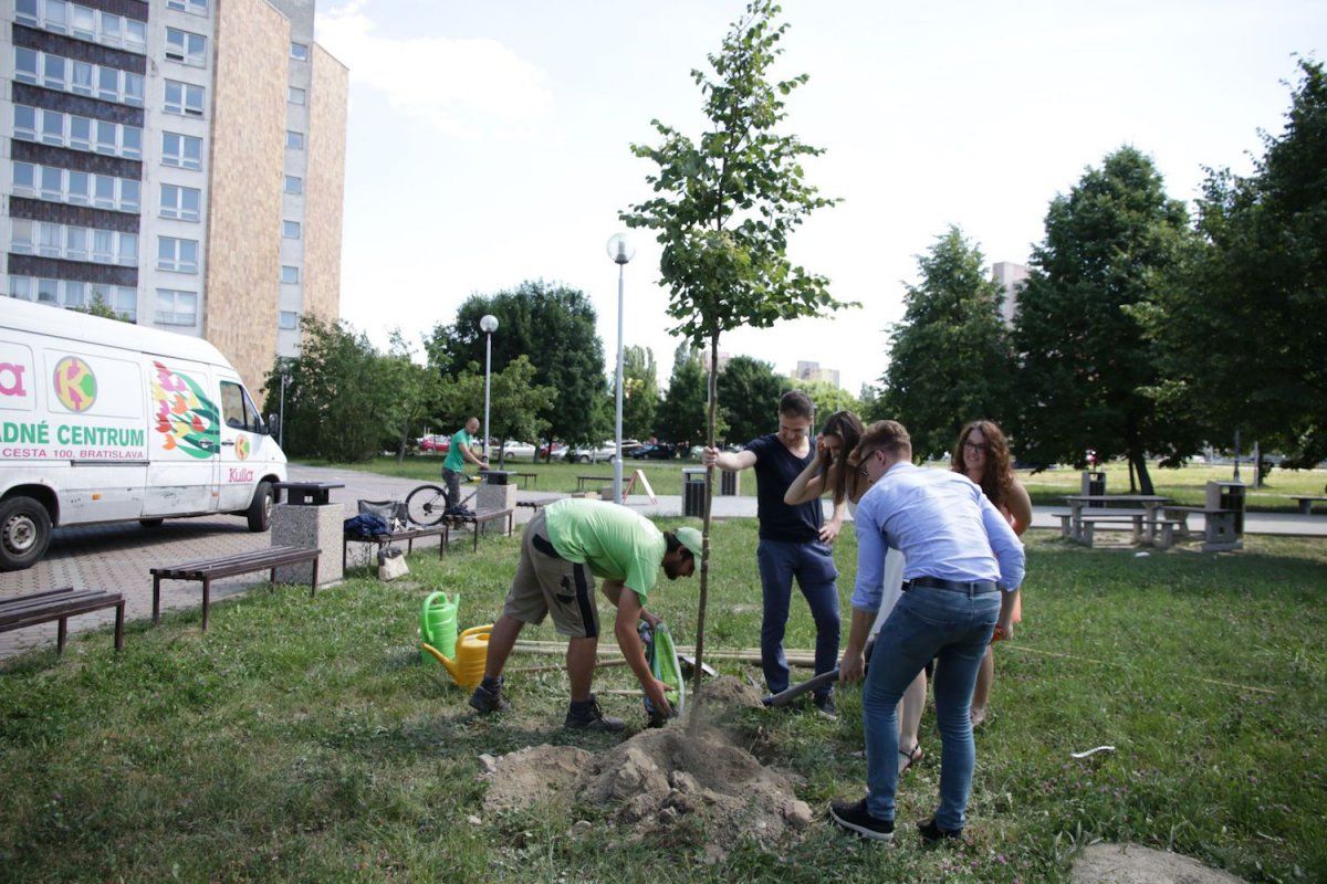 Slovenskí absolventi sa miesto písania mien na chodník rozhodli zasadiť stromy