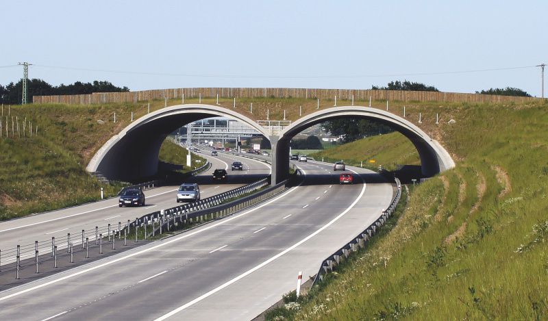 Mosty pro zvířata mohou vypadat i jako úchvatné a promyšlené stavby pomáhající přírodě