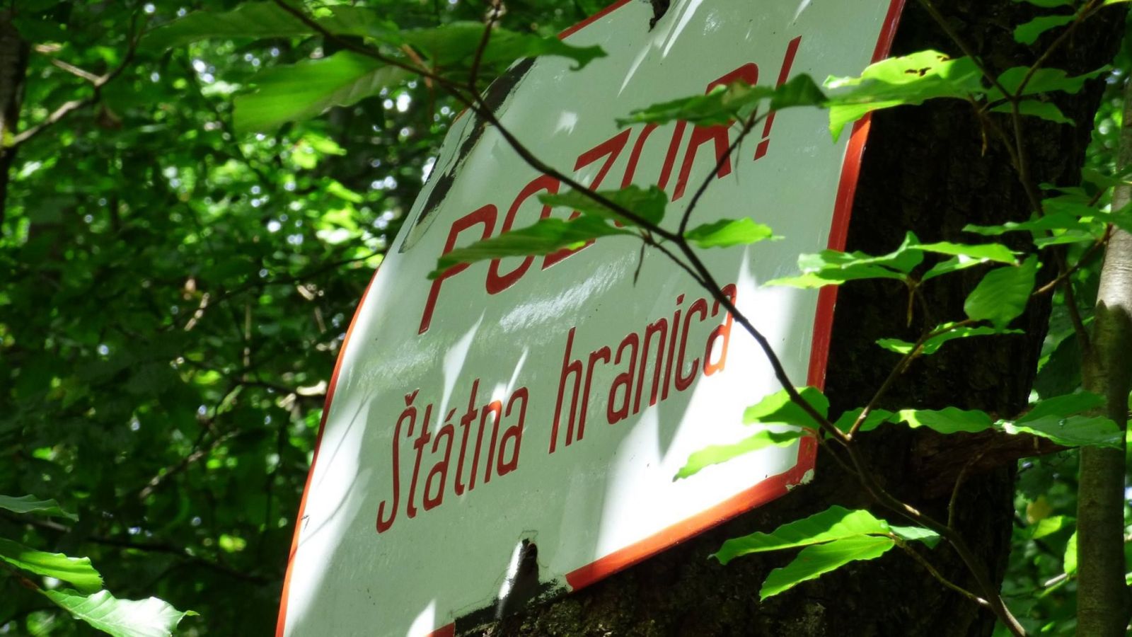 Slovenské lesy, v ktorých ťa môžu zastreliť či kde stupíš na mínu