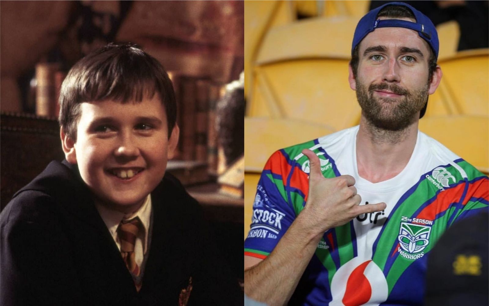 Neville Longbottom/Matthew Lewis
