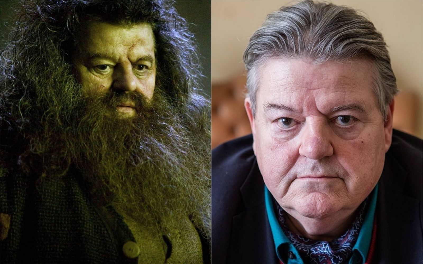 Rubeus Hagrid/Robbie Coltrane