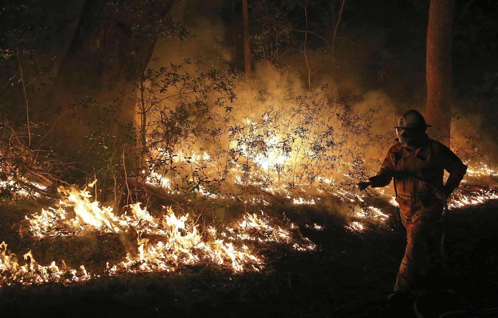 Austrálske požiare na prelome rokov 2019/20 zničili viac ako 10 miliónov hektárov lesa.