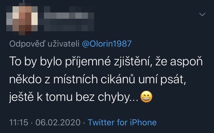 Češka na Twitter rasisticky ponižovala 15letého chlapce, zaměstnavatel ji za to propustil