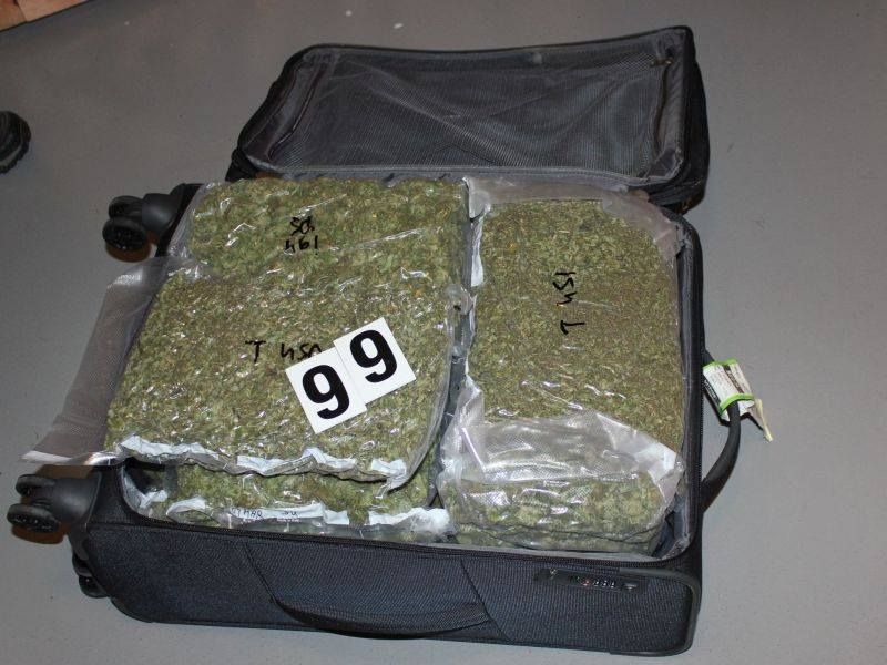 Policie odhalila Čechy, kteří prodávali marihuanu do 75 zemí světa. Zabavila jim majetek za 17 milionů