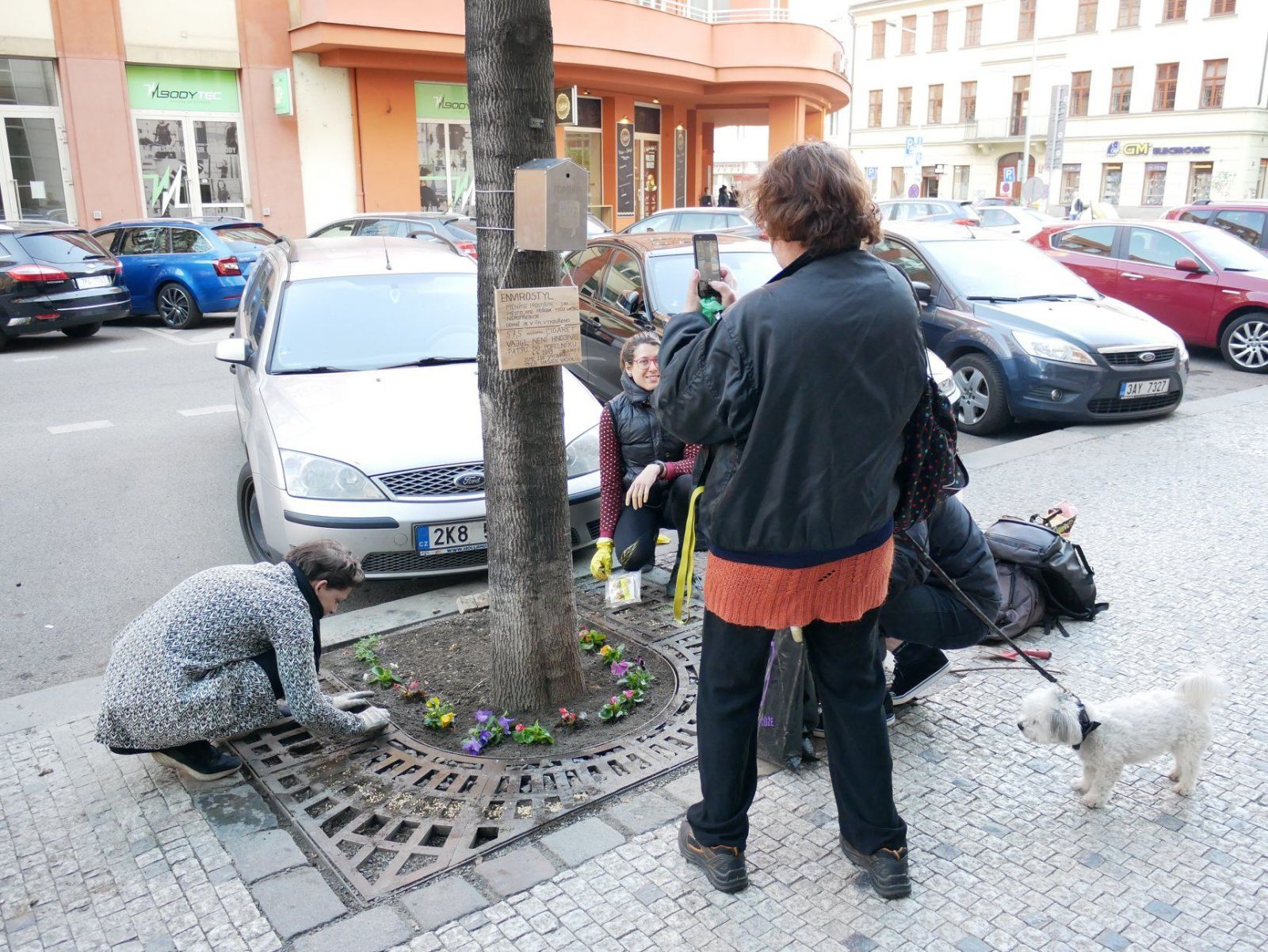 Češi čistí ulice města od cigaretových nedopalků. Místo nich vysazují květiny