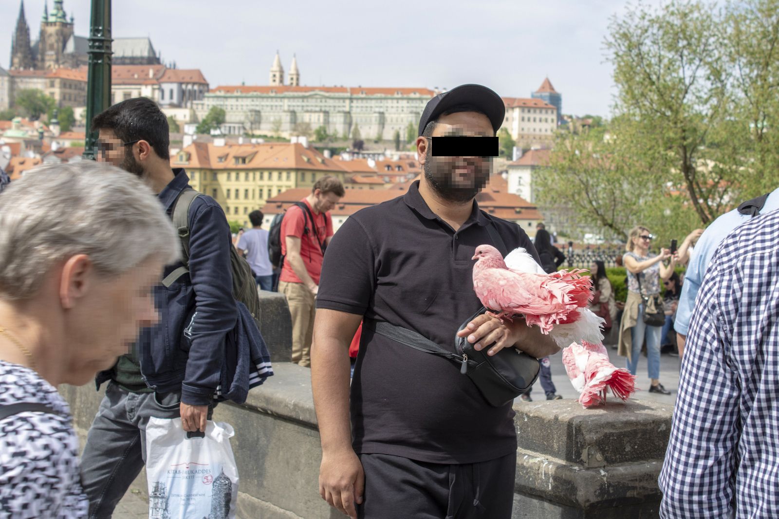 Nabarvení ztrápení holubi, týraní hadi i skákající medvědi. Zjistili jsme, jak se dělá byznys na turistech v centru Prahy