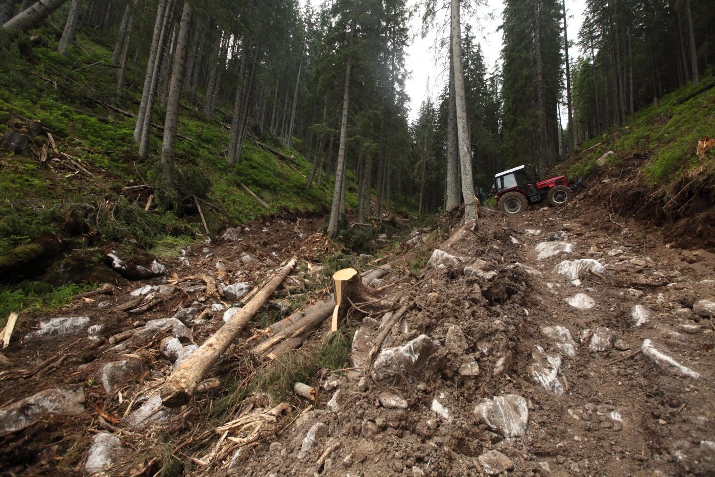 Zničené národné parky a turistické chodníky: Slováci vyzývajú na záchranu slovenských lesov