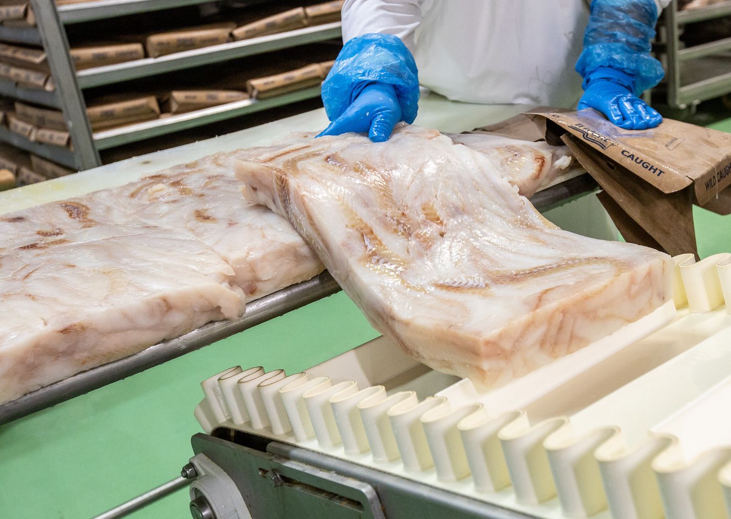 V Žiline používajú celé filety tresky, ktoré sú hĺbkovo zamrazené vždy do 24 hodín od vylovenia.  