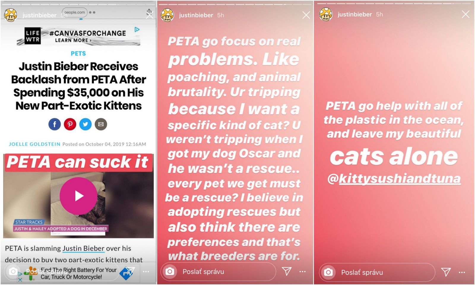 PETA kritizuje Justina Biebera kvôli kúpe mačiek za 35-tisíc. Riešte skutočné problémy, odkazuje spevák