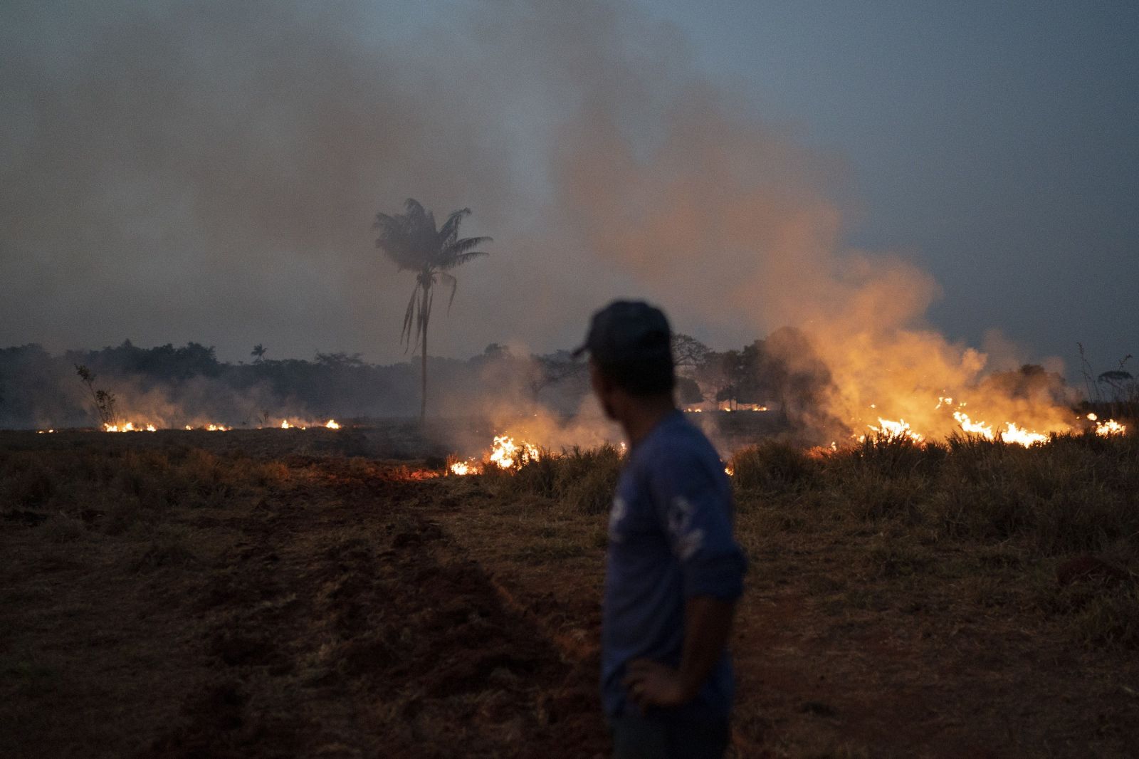 Štve ťa, že horí Amazonský prales? Prestaň jesť mäso