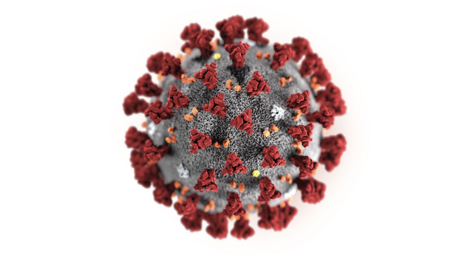 Na ilustračnej snímke vydanej v januári 2020 koronavírus 2019-nCoV