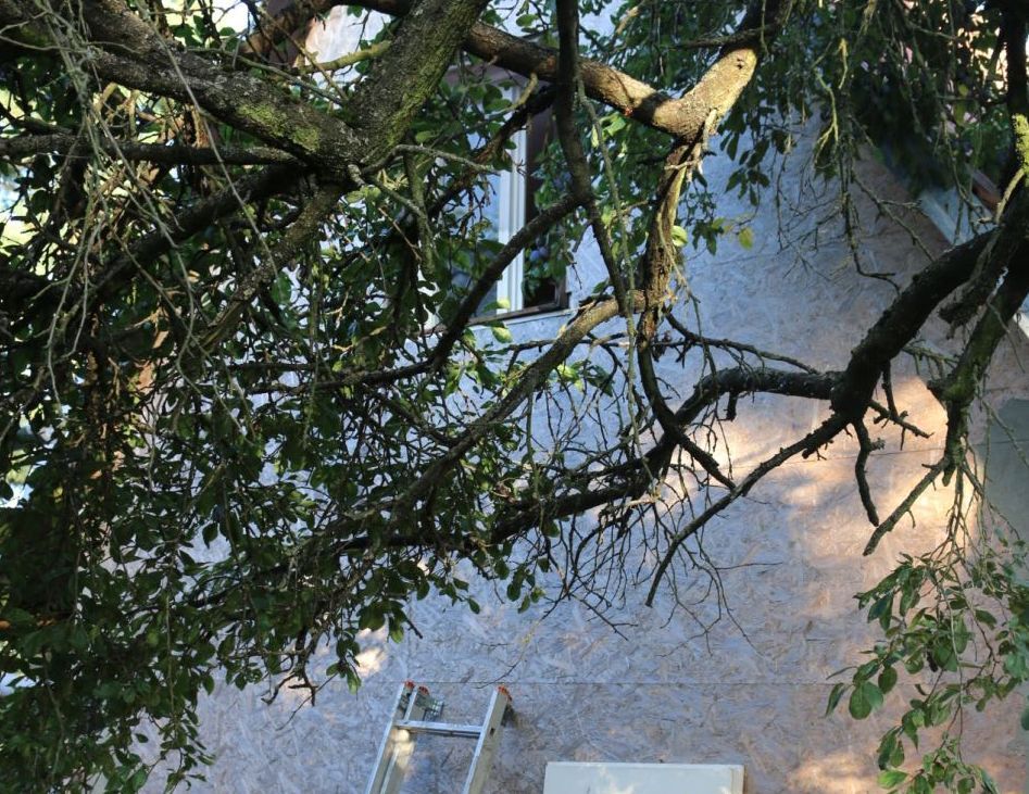 Lupič chtěl vykrást chatu, našel v ní pouze slivovici. Po jejím vypití na místě jej spícího našli majitelé objektu