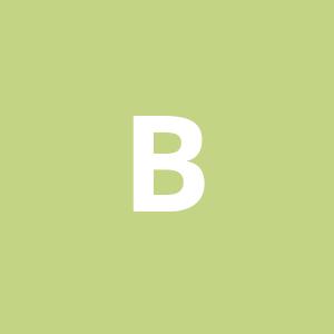 b0ris