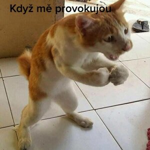 horvathandrej16